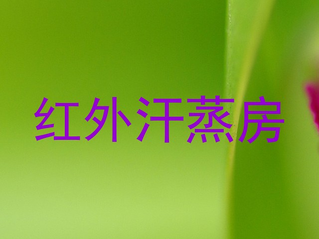 红外汗蒸房