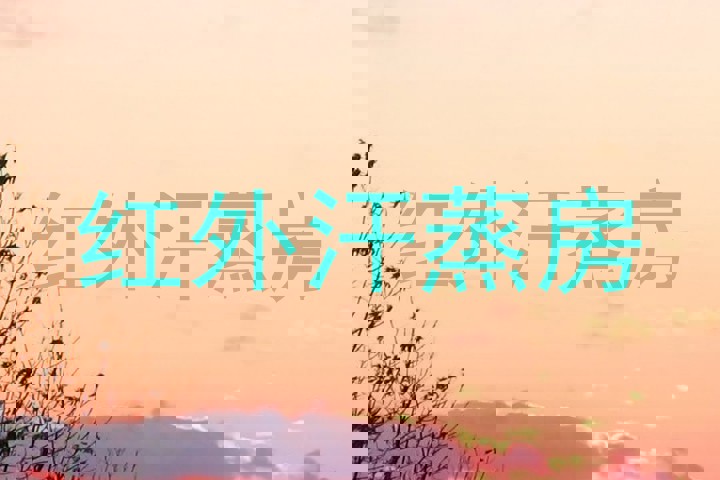 红外汗蒸房