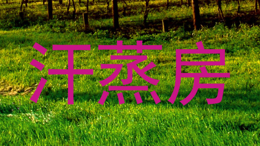 汗蒸房