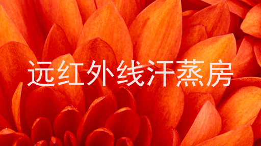 远红外线汗蒸房