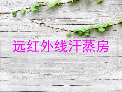 远红外线汗蒸房