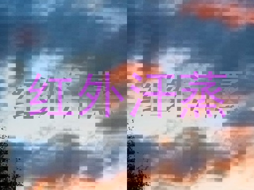 红外汗蒸
