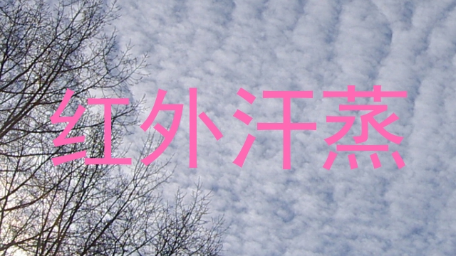 红外汗蒸