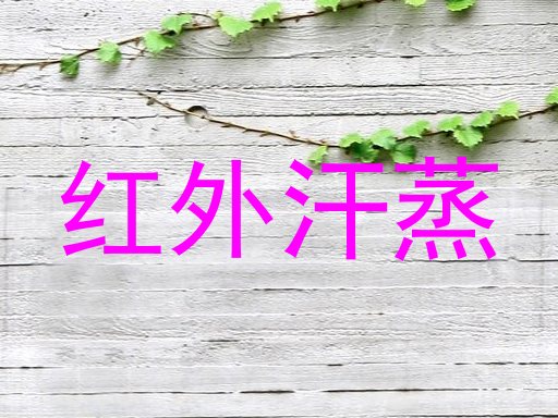 红外汗蒸