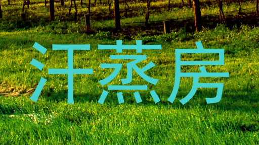 汗蒸房