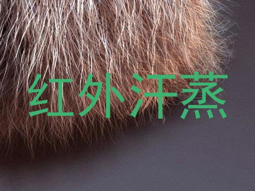 红外汗蒸
