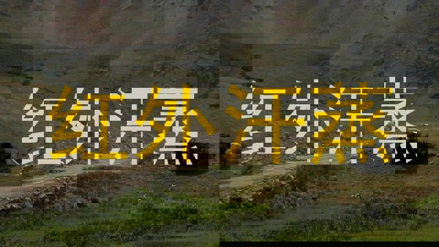 红外汗蒸