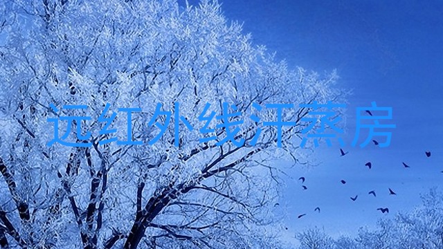 远红外线汗蒸房