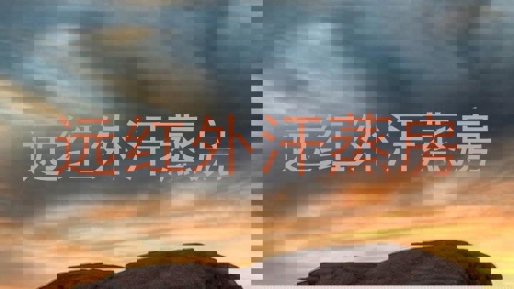 远红外汗蒸房