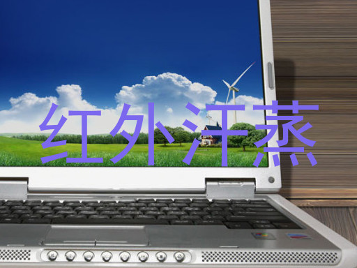 红外汗蒸
