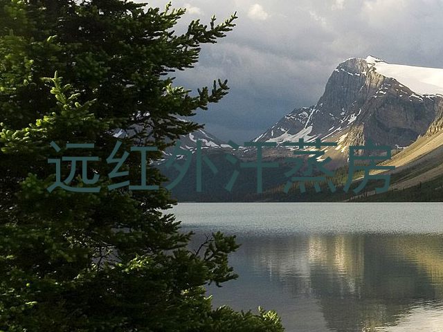 远红外汗蒸房
