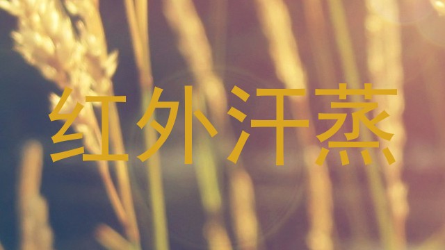 红外汗蒸