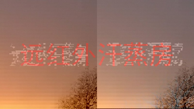 远红外汗蒸房