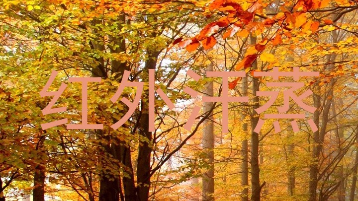 红外汗蒸
