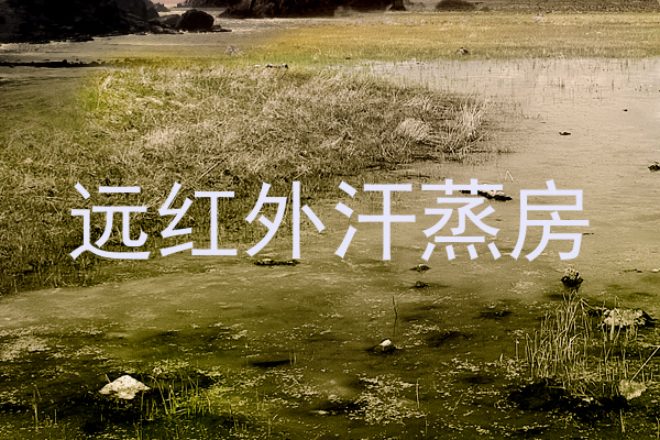 远红外汗蒸房