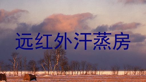 远红外汗蒸房