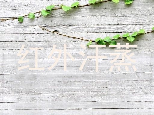 红外汗蒸
