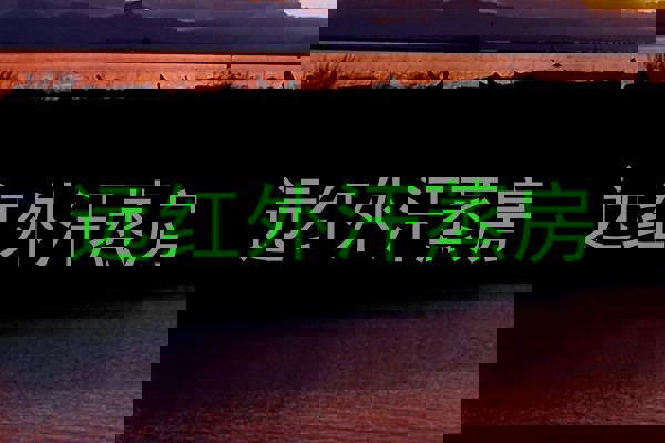 远红外汗蒸房