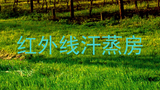 红外线汗蒸房
