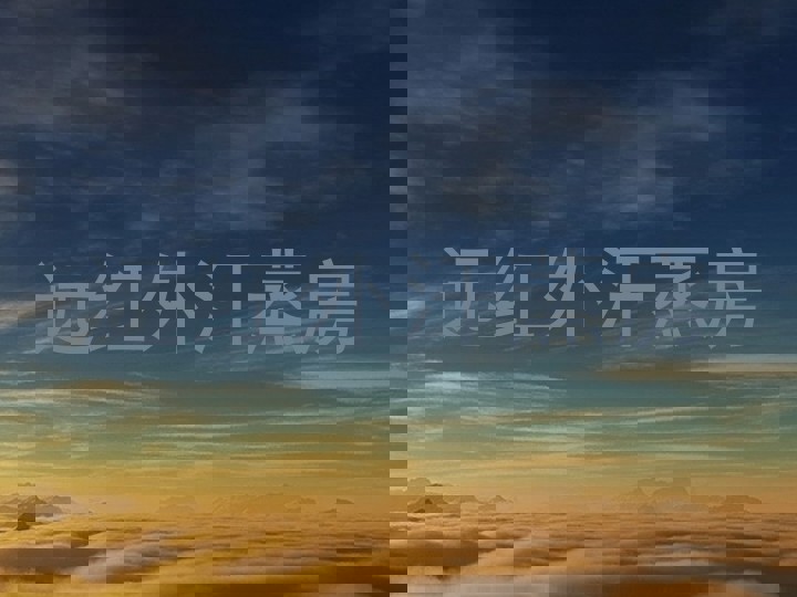 远红外汗蒸房