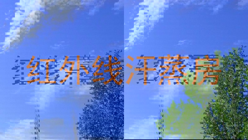 红外线汗蒸房