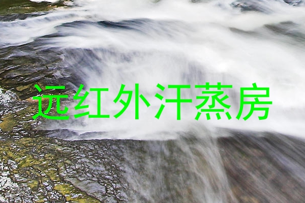 远红外汗蒸房