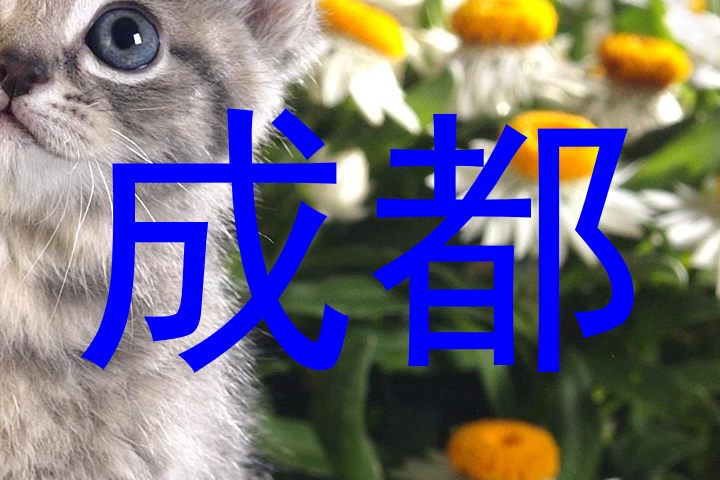 成都