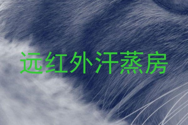 远红外汗蒸房