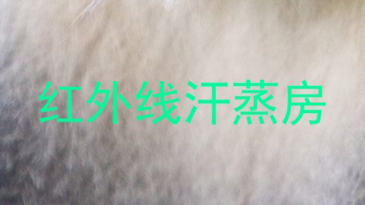 红外线汗蒸房