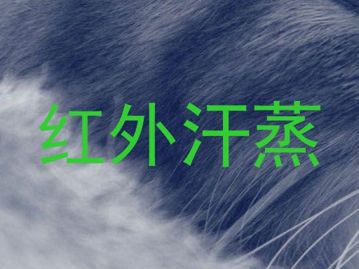 红外汗蒸