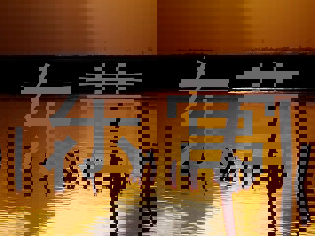 东营