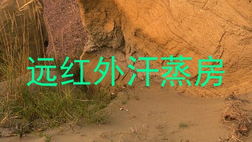 远红外汗蒸房