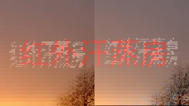 红外汗蒸房