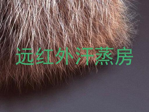 远红外汗蒸房