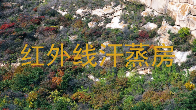 红外线汗蒸房