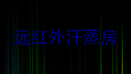 远红外汗蒸房