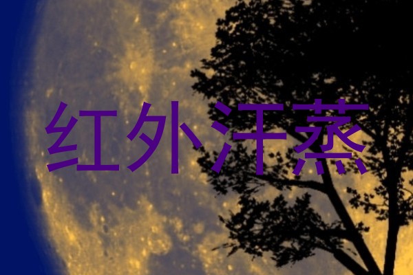 红外汗蒸