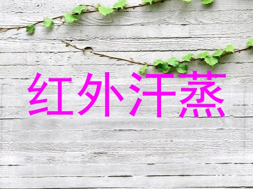 红外汗蒸