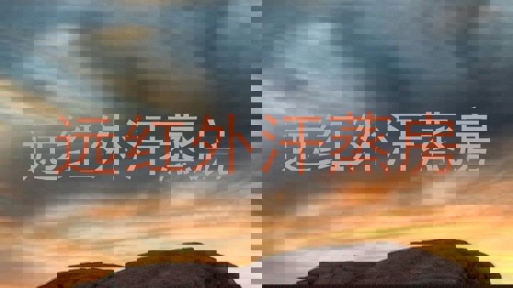 远红外汗蒸房