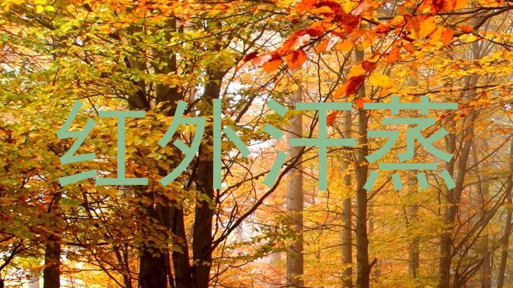 红外汗蒸