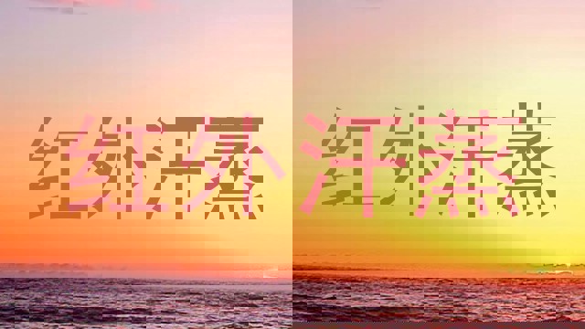 红外汗蒸