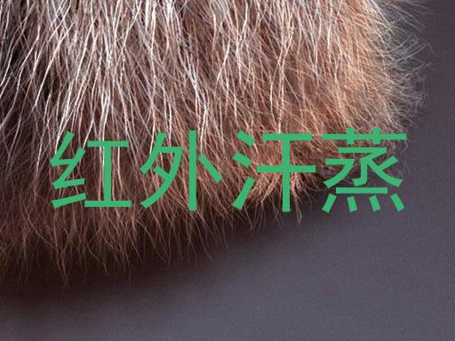 红外汗蒸