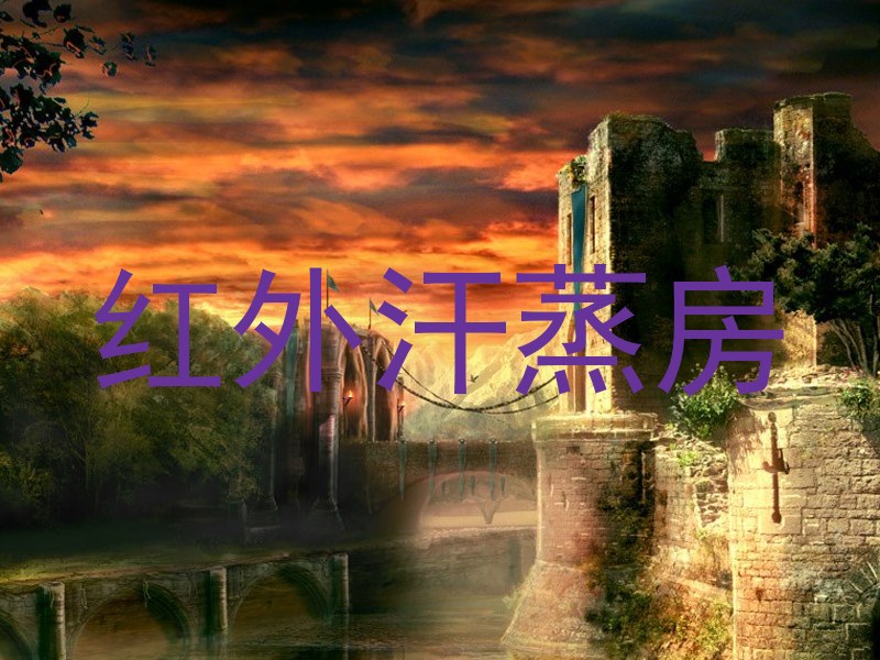红外汗蒸房