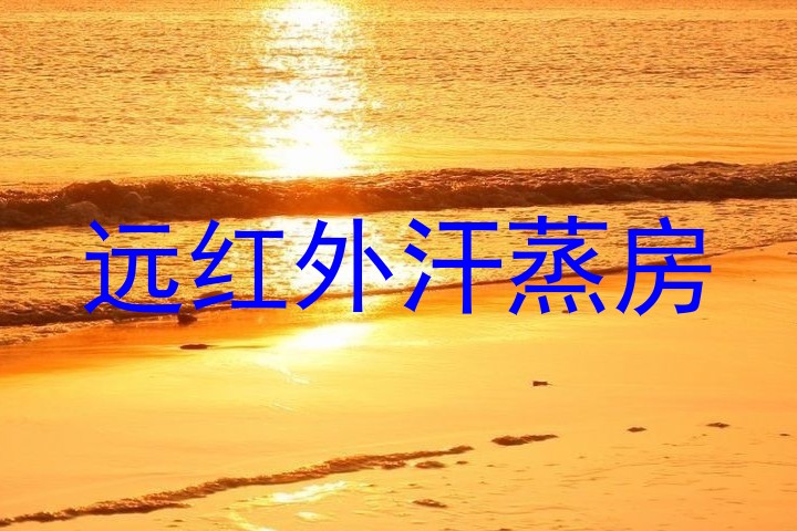 远红外汗蒸房