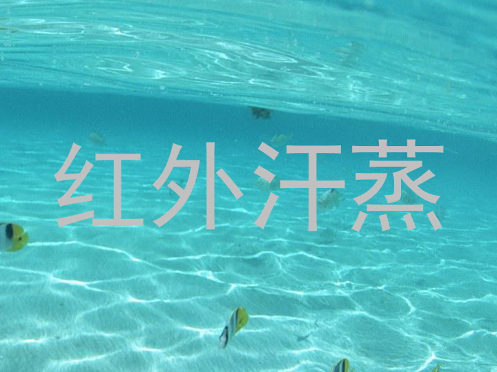 红外汗蒸