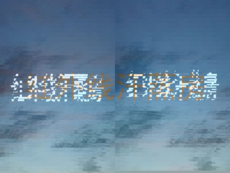 红外线汗蒸房