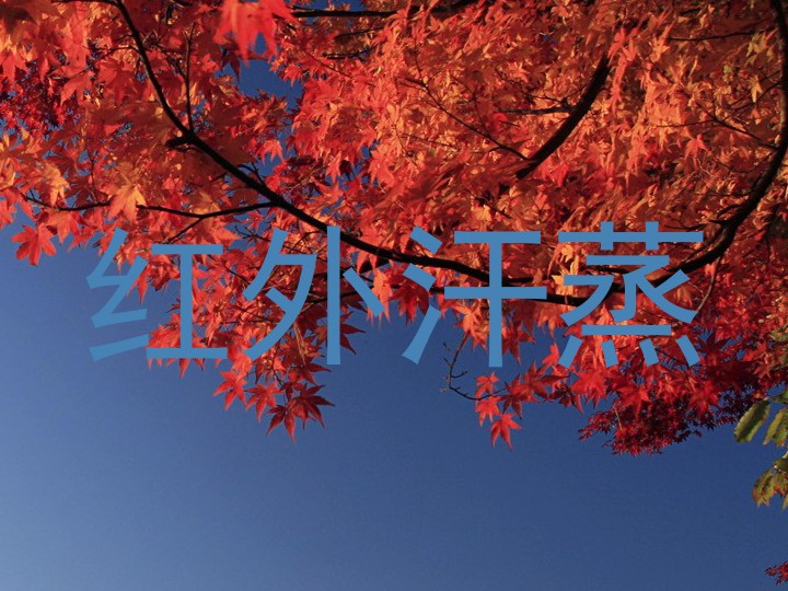 红外汗蒸