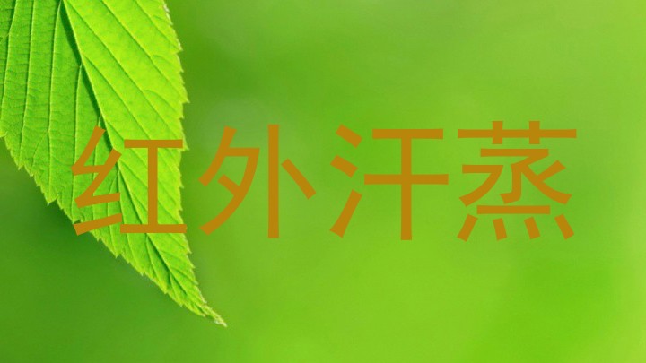 红外汗蒸