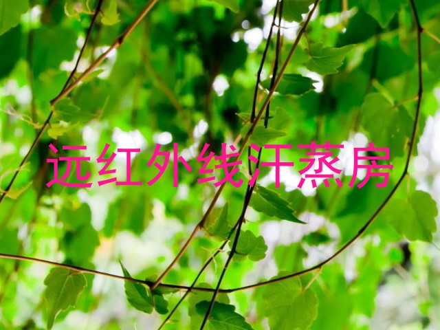 远红外线汗蒸房