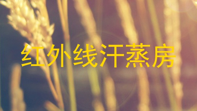 红外线汗蒸房